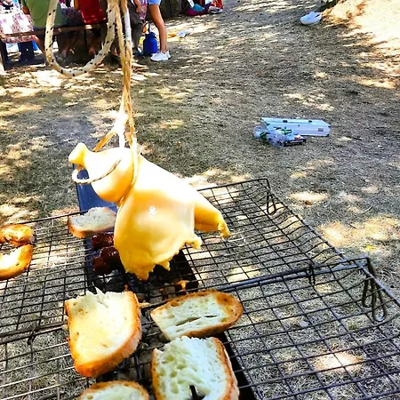 Semesterbostad Millefiori