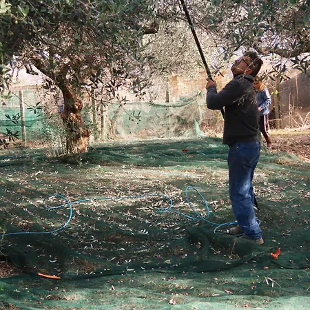 Millefiori 度假居 *