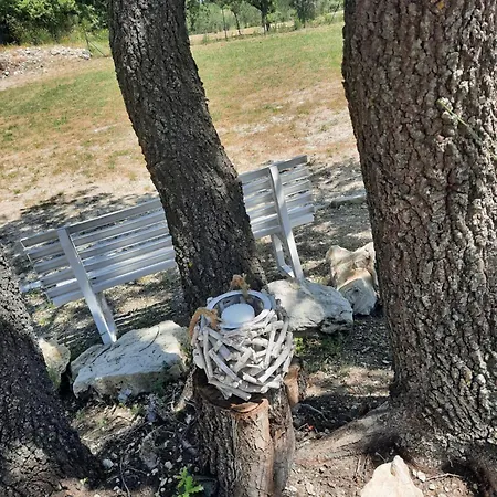 Millefiori * Tornareccio