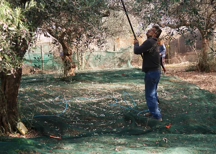 Millefiori Tatil Evi *