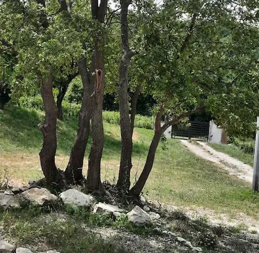 Tatil Evi Millefiori Tornareccio